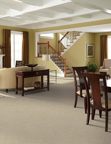 Contemporary carpet in Smithville, OH from Stoller Floors